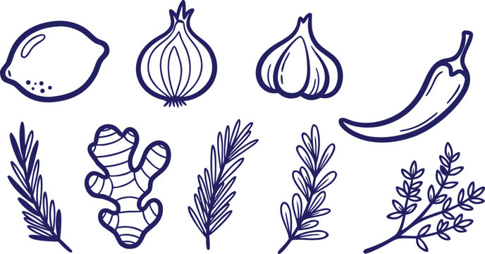 Illustration of various herbs and vegetables including lemon onion garlic chili ginger and thyme