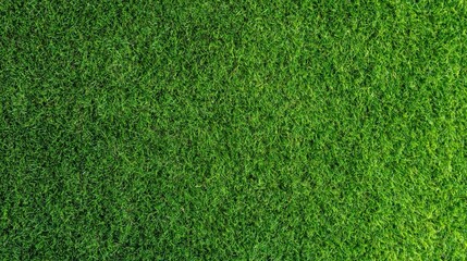 Fototapeta premium Lush green grass field texture background