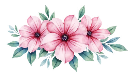 Obraz premium Vibrant Pink Hibiscus Flowers Arrangement on Transparent Background