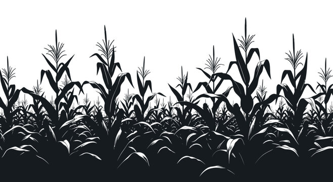 Corn Field Silhouette, Agricultural Landscape, Black and White