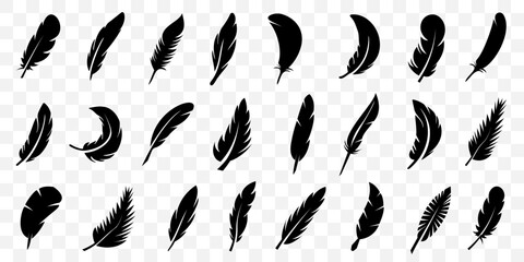 Feather silhouette icon collection in black. Set of plume, quill, wing, bird, soft, flying and decorative feather icons © top dog