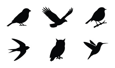 Fototapeta premium Diverse Bird Silhouettes Collection, Six Avian Species Vector Icons, Wildlife Ornithology Graphic Elements for Nature Designs