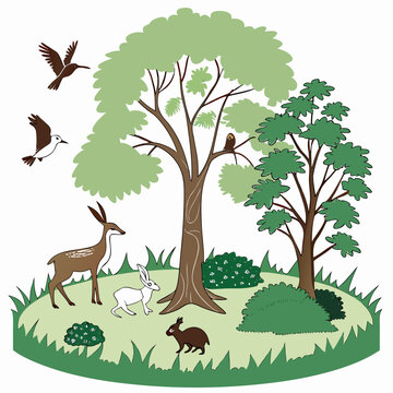 Forest scene with deer rabbits and birds colorful vector illustration