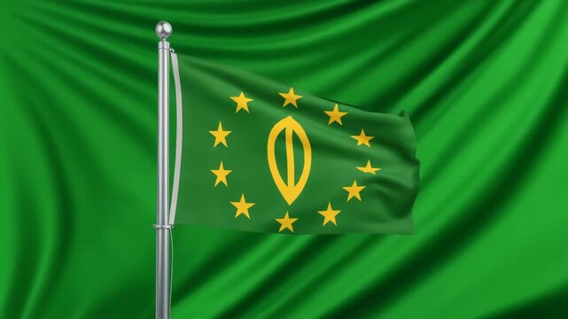 Green flag waving proudly, yellow emblem and twelve stars symbolizing unity, identity, and resilience.