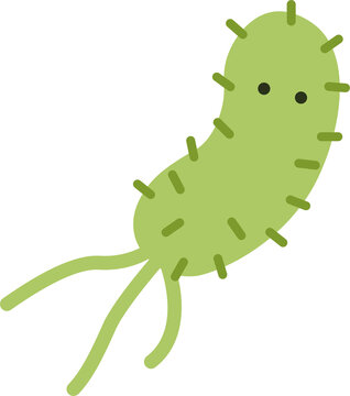 A clean and detailed vector illustration of Escherichia coli bacteria, designed with a scientific yet visually engaging approach. The artwork highlights the rod-shaped structure of the micro