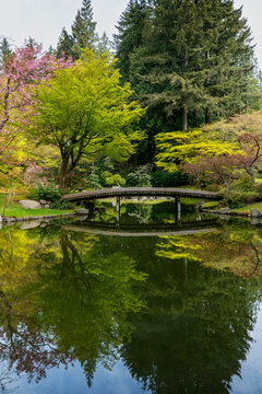 Nitobe Gardens Zen Pond Bridge Reflections. Ponds and bridge in the Nitobe Garden on the campus of the University of British Columbia. 
