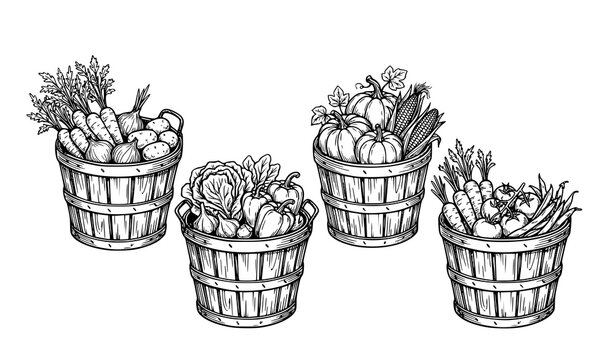 Hand drawn vegetable basket line art collection with rustic farm produce vector illustration