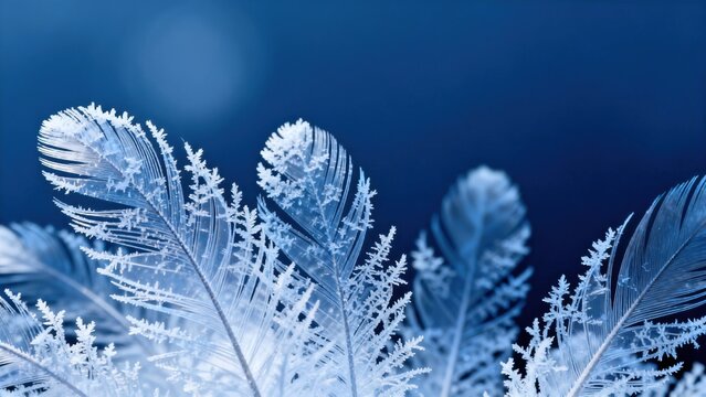 Frozen feather patterns on blue background