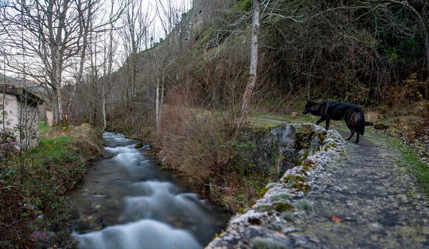 Rio - Monta&ntilde;as del Valle de Urbi&oacute;n - Burgos Spain