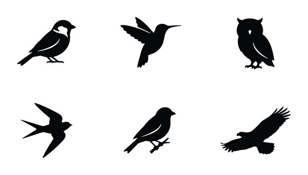 Diverse Bird Silhouettes Collection, Vector Icons: Sparrow, Hummingbird, Owl, Swallow, Finch, Eagle, Wildlife Icons for Nature Graphics