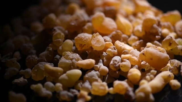 Olibanum Frankincense resin, Boswellia sacra background. Frankincense or olibanum aromatic resin for incense and perfumes, dark rotating backdrop, design, macro shot. 
