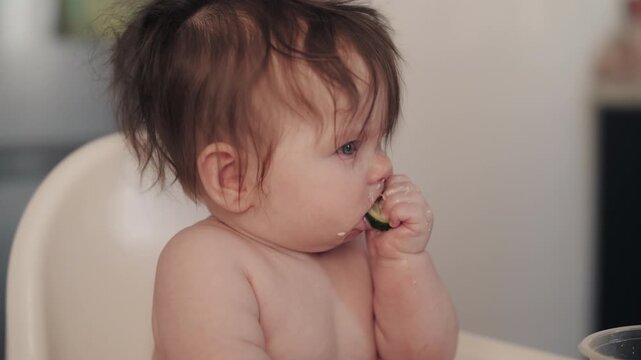 Baby Eating Cucumber First Solid Food Chewing and Exploring Taste at Home