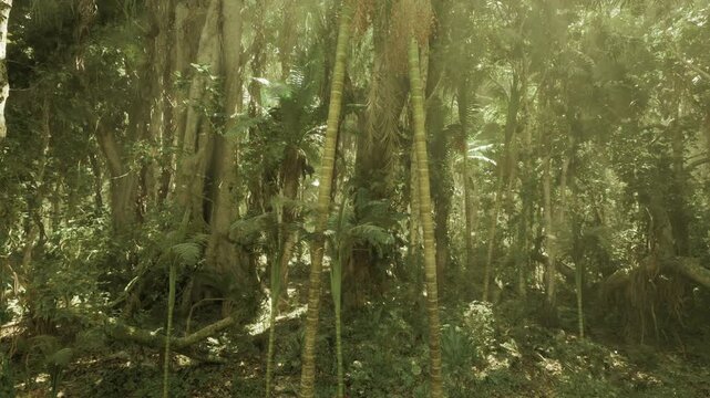 Sunlit Phuket jungle morning with soft rays filtering through canopy, mossy trunks, quiet mood, gentle beams illuminating ferns and leaf litter for wellness