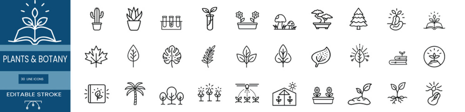 Plants and botany web line icons set scientific research test tube desert cactus pot bonsai tree growth forest pine plant greenhouse irrigation system & more vector illustration with editable stroke