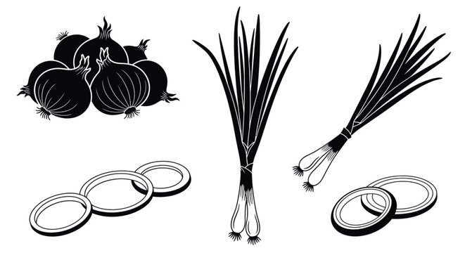 Onions and scallions collection black silhouette high quality professional detailed modern