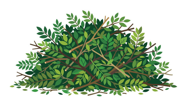 A dense pile of green leafy branches and thin wooden twigs is heaped together into a large messy bush structure isolated against a plain white background.
