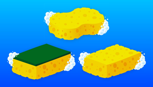 Scrub Sponge. Dish washing tool. Housing floor washing and scrubbing cleaning brush. Concept of cleanliness. Vector illustration.
