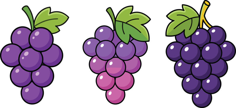 Hand-Drawn Vector Illustration Set of Purple Grapes with Leaves, Including Single and Bunches of Grapes for Fruit, Nature, and Harvest Designs