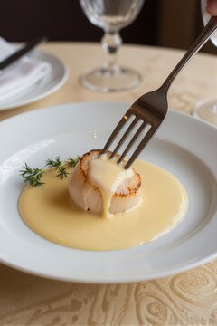 A seared Pecten maximus scallop is centered on a white ceramic plate, partially submerged in creamy white sauce, garnished with fresh rosemary and set against a warm beige