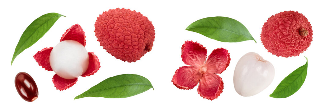 lychee fruit isolated on white background with full depth of field. Top view. Flat lay