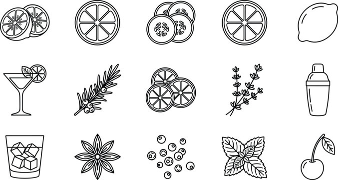 Cocktail Ingredients and Citrus Fruit Line Icon Set with Herbs Spices and Beverage Symbols Collection