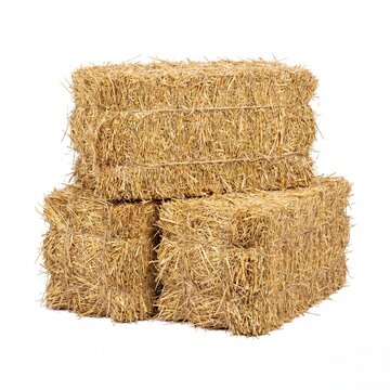 stack of hay bales on white background