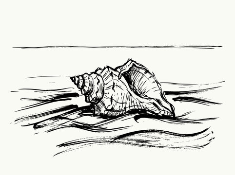 Spiraling conch shell on sandy beach, minimalist brush line art coastal landscape, black ink illustration