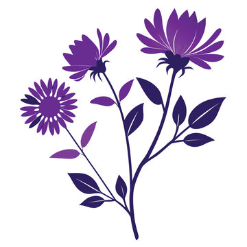 aster honeysuckle purple stokes flower silhouette on white background