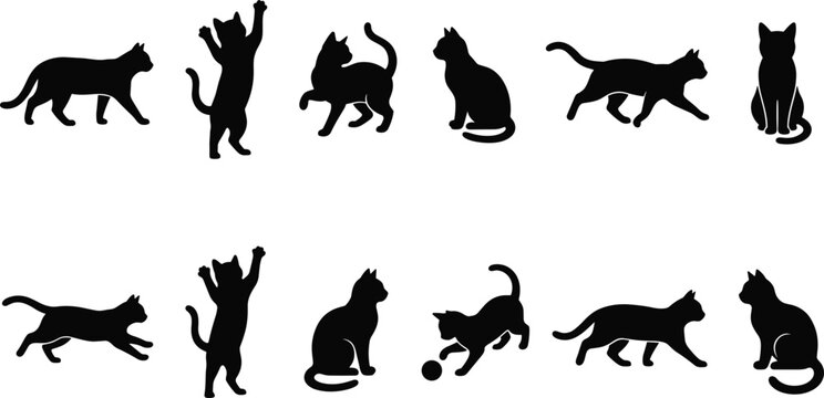 Large Set of Cat Silhouettes Featuring Various Feline Poses and Activities Including Walking Jumping Playing with a Ball and Sitting for Pet Care and Animal Themed Graphic Design Projects
