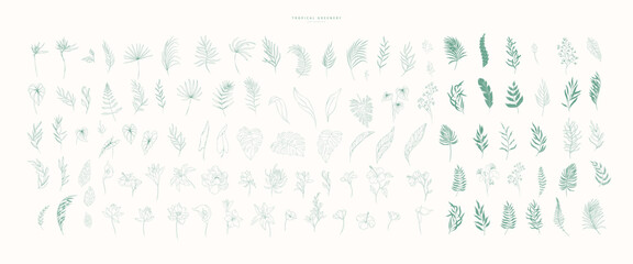 Floral tropical branch of palm in silhouette and line style. Hand drawn elegant exotic leaves for invitation save the date card design. Botanical trendy greenery © merfin