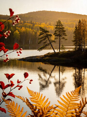 Obraz premium Eternal Boreal The Untamed Northern Wilderness