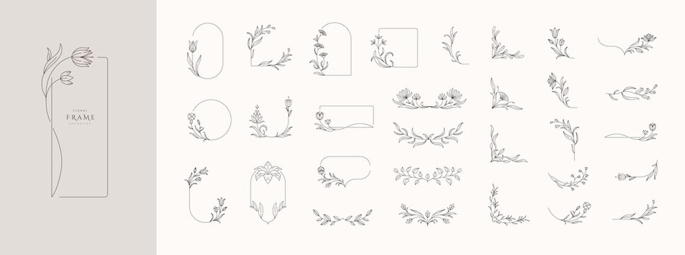 Set of calligraphic floral frames and branches. Constructor of floral decoration. Delicate botanical branch in arcs form with flowers and leaves, intricate hand drawn