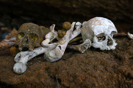 skull and bones