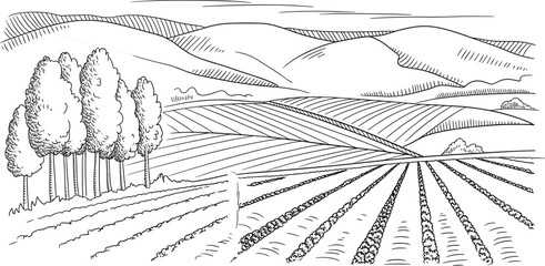 Rural farmland landscape sketch, agricultural fields and hills illustration, countryside vector art for farming themes © Sume