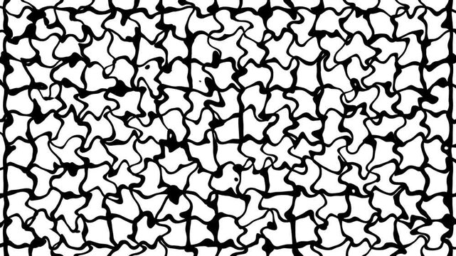 Random Transition  set Animation with  Wavy Lines And Morphing Shapes On Black And White Backgrounds. Dynamic Hand Drawn Motion Grid.