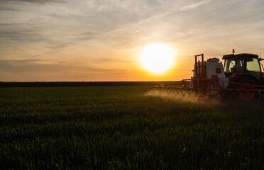 Fototapeta premium Farmer in tractor spraying crops at sunset