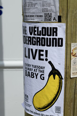 Naklejka premium street posters stapled to a pole in Toronto