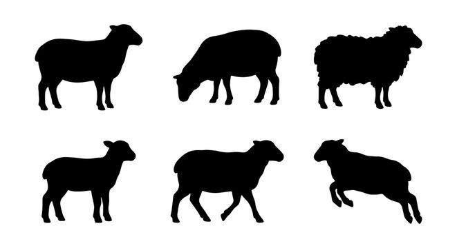 Sheep Silhouettes Vector Set, Farm Animal Icons, Black Lamb and Ewe Graphics Collection