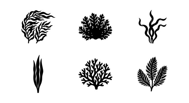 Seaweed vector set, aquatic plant silhouettes, marine algae collection, underwater flora elements