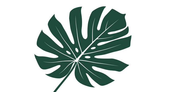 Single dark green monstera leaf with iconic holes and splits shown as a minimalist botanical illustration.