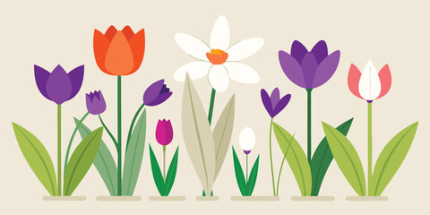 Spring flowers collection with colorful tulips and blooming daffodils in flat vector style © Sadhin07