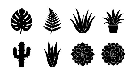 Obraz premium Tropical plant silhouettes, succulent icons, botanical foliage vector collection, houseplant graphics