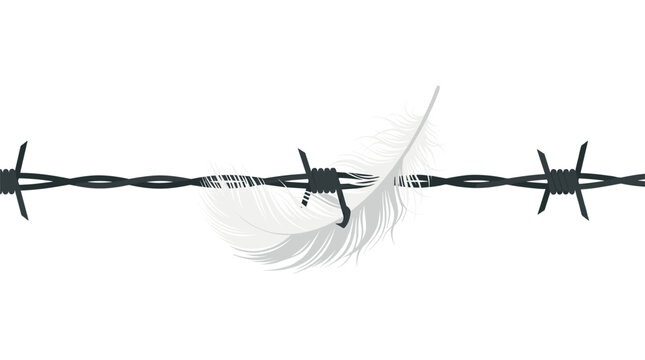 A delicate white feather is caught and tangled firmly within the center of a sharp strand of dark barbed wire against a clear and minimalist white background art space.