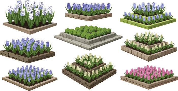 Modern isometric garden flower bed vector set featuring blooming hyacinths in raised stone and brick tiered planting boxes.