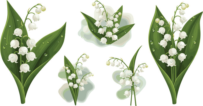 Beautiful lily of the valley floral vector set with white bell flowers and green leaves on white background.