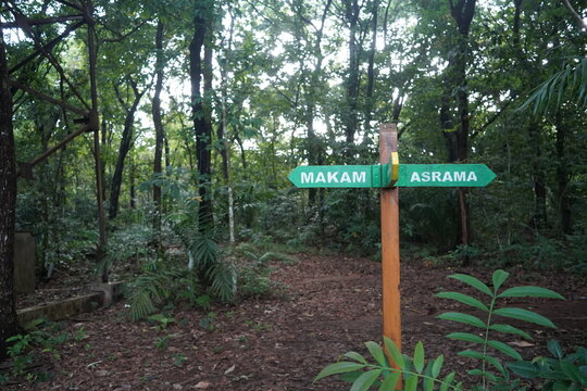 Green wooden directional signpost in the middle of a tropical forest.