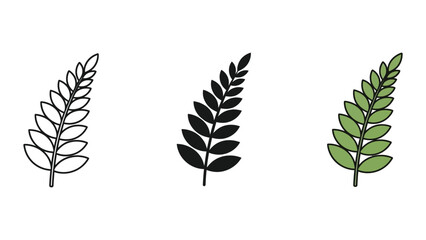 three green fern leaves isolated flat design vector illustration © Freefire