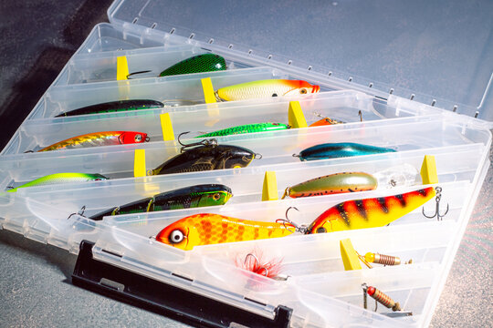 Transparent fishing tackle box containing lures hooks bobber. Image for fishing themes