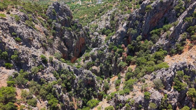 Looking down into a rugged mountain gorge with dramatic rock formations and forest