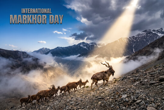 Postcard markhor herd landscape with International Markhor Day text.